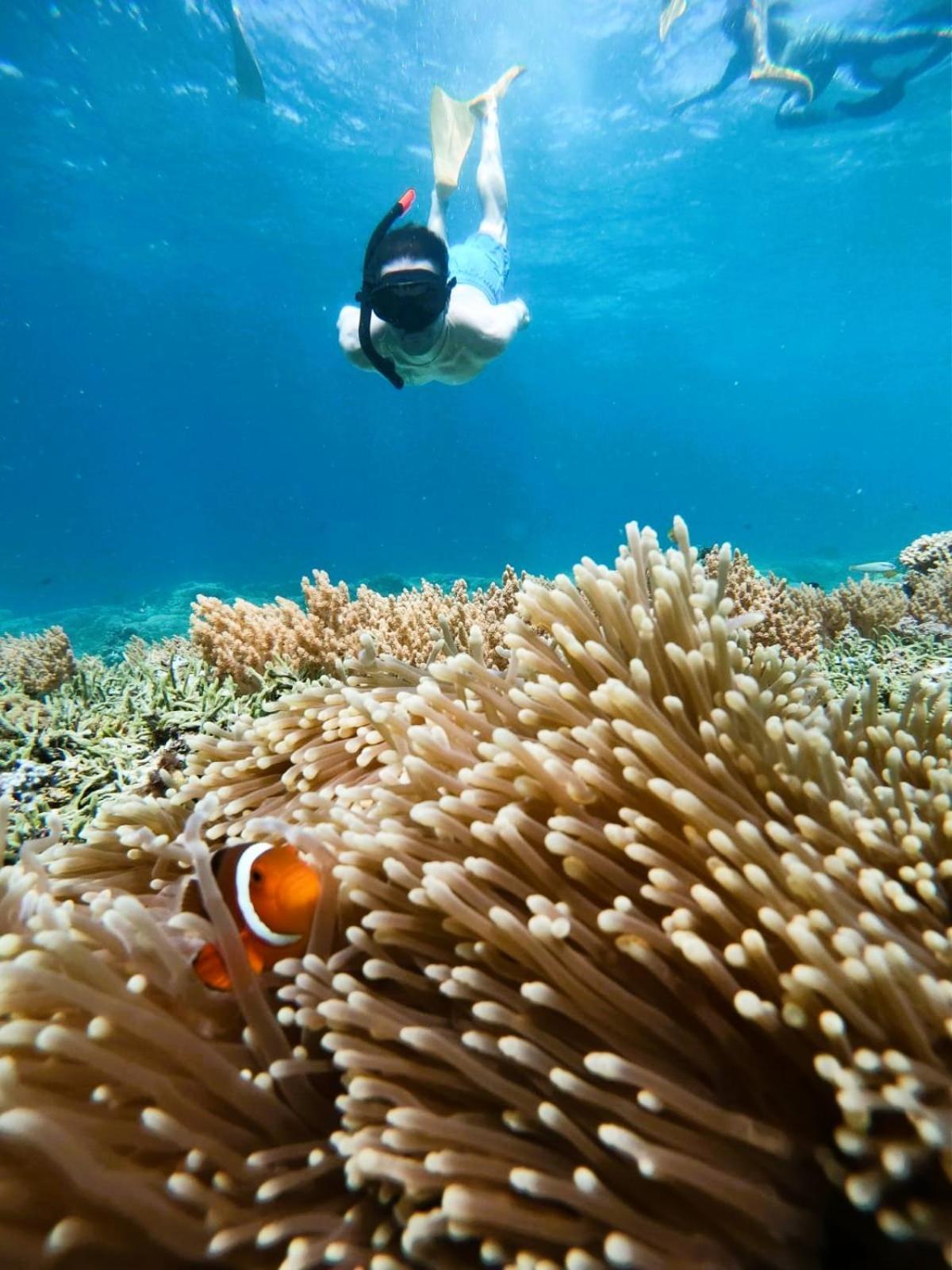 Gili Mesari Cottages & Homestay Gili Trawangan Dış mekan fotoğraf