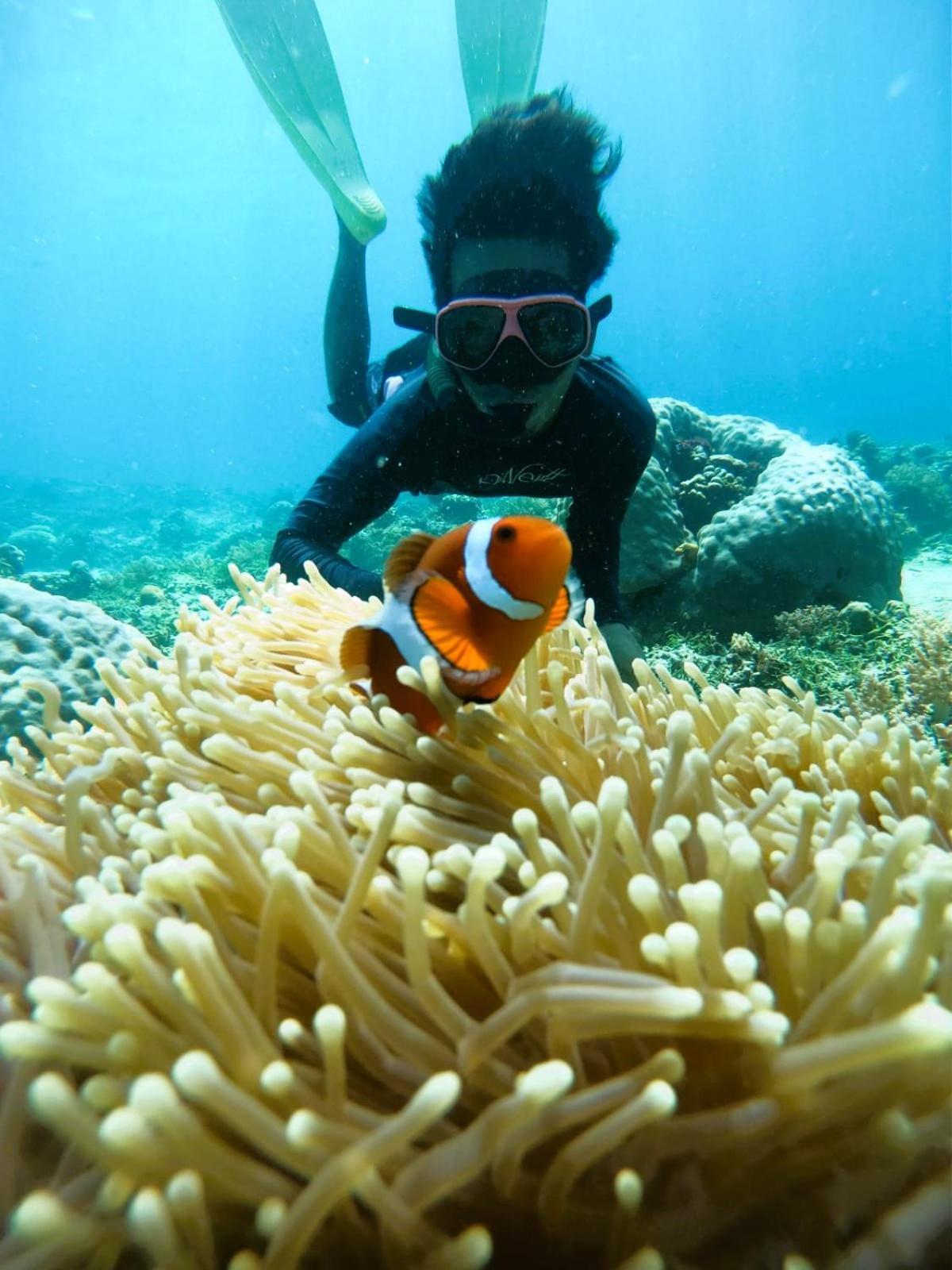 Gili Mesari Cottages & Homestay Gili Trawangan Dış mekan fotoğraf